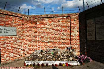IMG_ (10541)